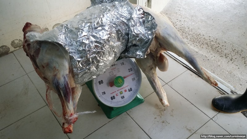 목사의 실체 (선한 목자는 양을 먹고 산다) 3번째 사진