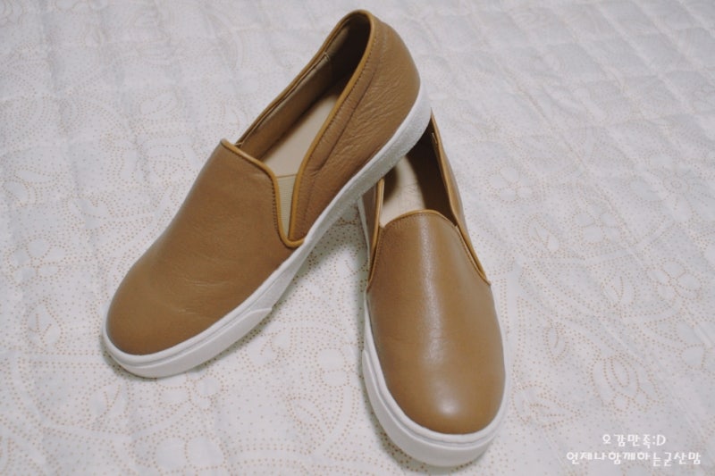 목사의 실체 (선한 목자는 양을 먹고 산다) 8번째 사진