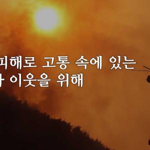 산불로 고통받는 이웃을 위해 함께 기도해주세요 │기도와 후원