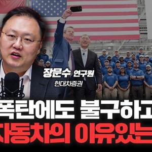 자동차 52주 신저가, 관세 피해 섹터 자동차 산업의 두 얼굴 f.장문수 현대차 증권 애널리스트  [심층인터뷰]