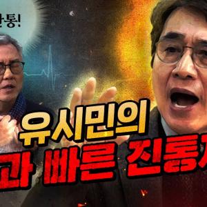 진통제 유시민 “석방된 윤석열은 국민의힘에게 재앙이 될 것이다.” (헌재는 빨리 해라)