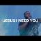 Jesus I Need You - Hillsong Worship