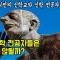 신학 전공자들이 '신학'말고는 아무것도 모르는 진짜 이유 | 교회를 위한다는 거짓말